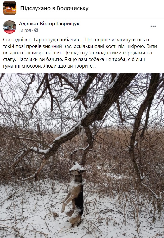соб1