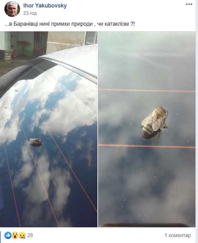 -30456jk.jpg