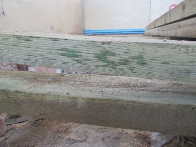 105894645 3033320830085777 3854339760635146658 n