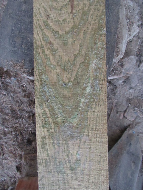 106021026 3033320350085825 5160126020380910202 n