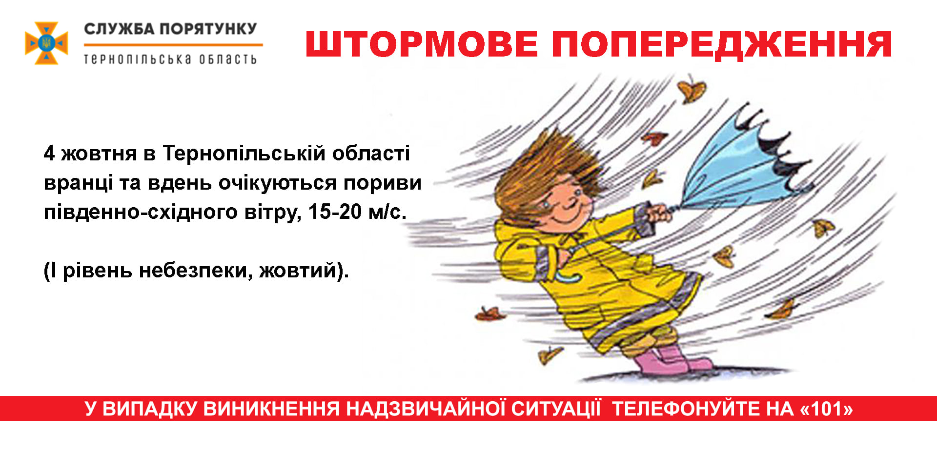 120609244 1769524726520373 4572328017571868479 o