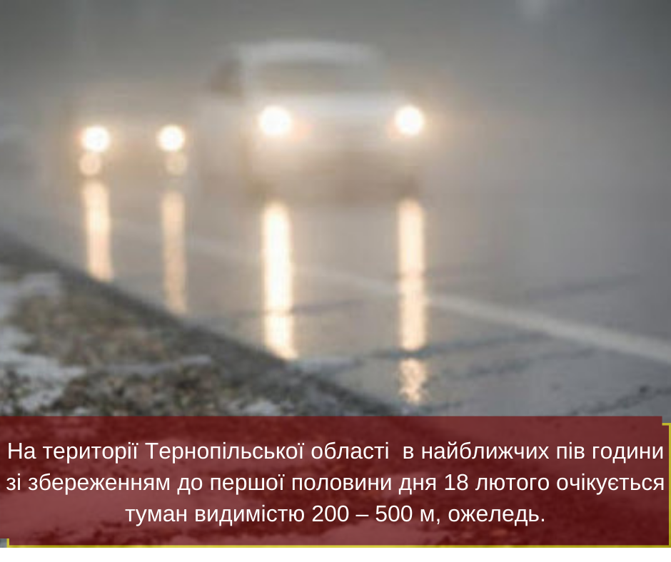 152085929 1890515737754604 2017416894534239095 n 1