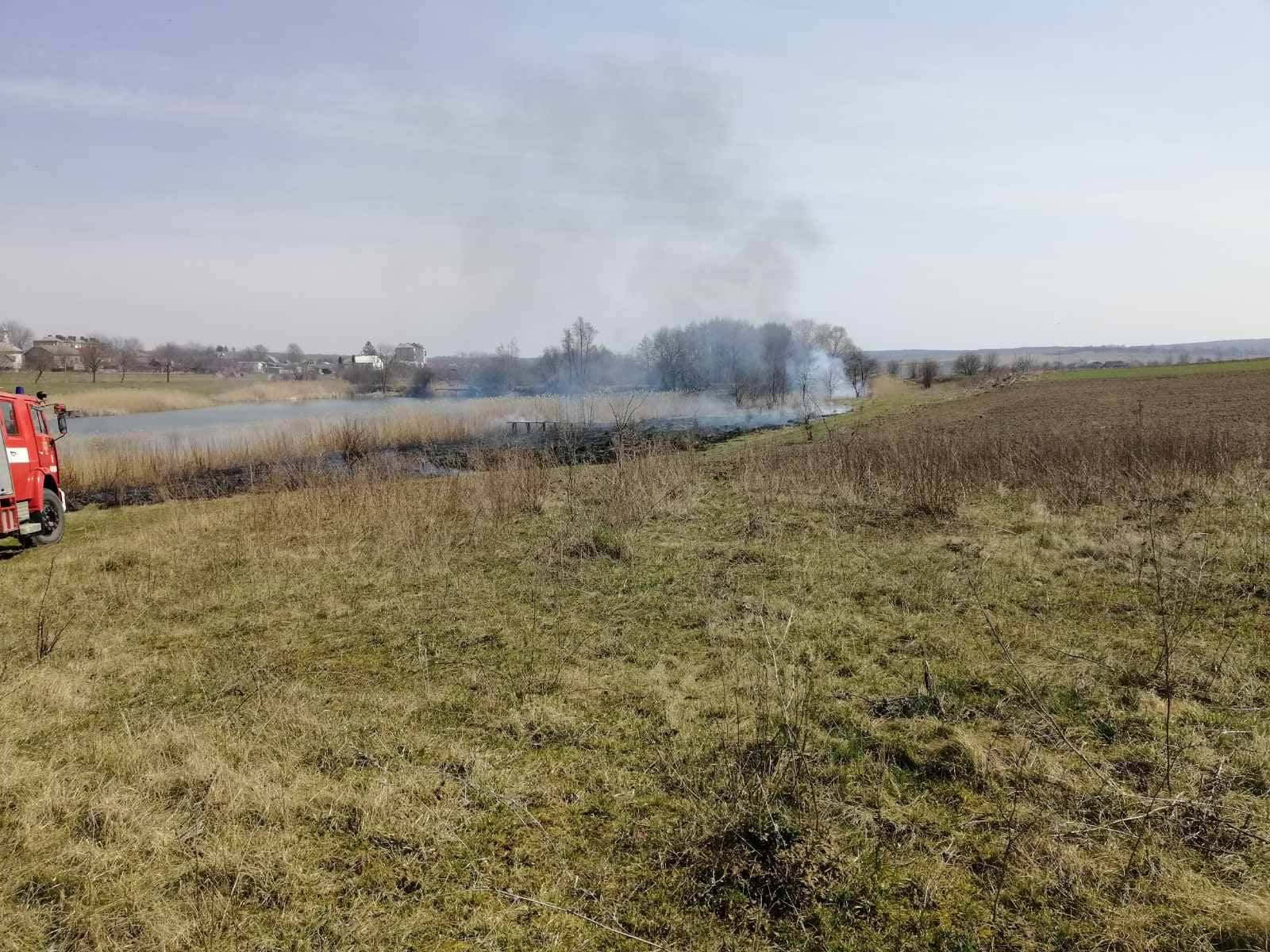 172903602 3823683871081027 4621535597006939068 n