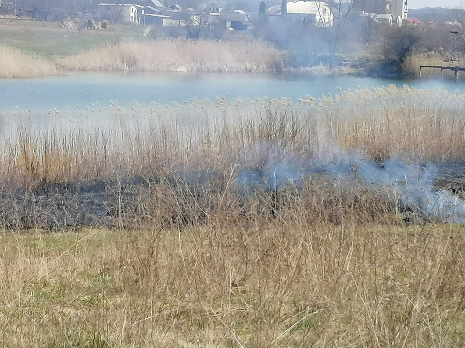 173937263 3823683764414371 3802019032176432316 n