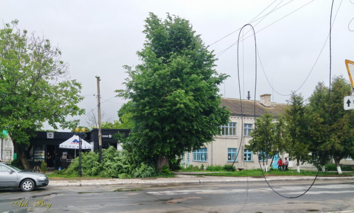 20210613 092003 1 700x421