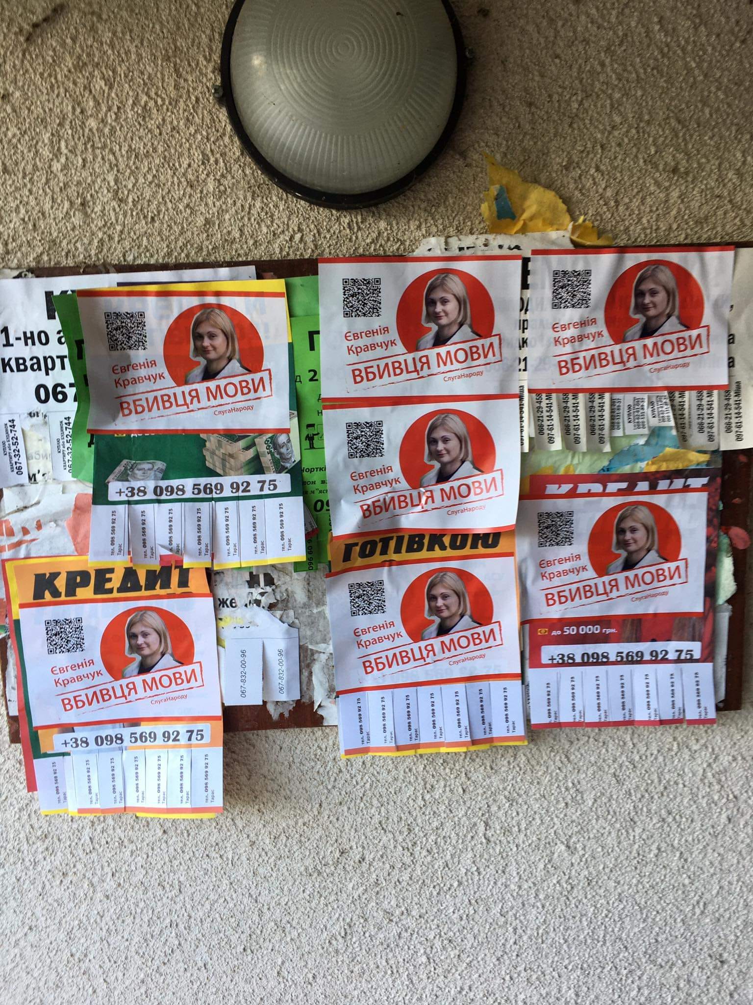 202249689 4100335170042542 6201062279197385520 n