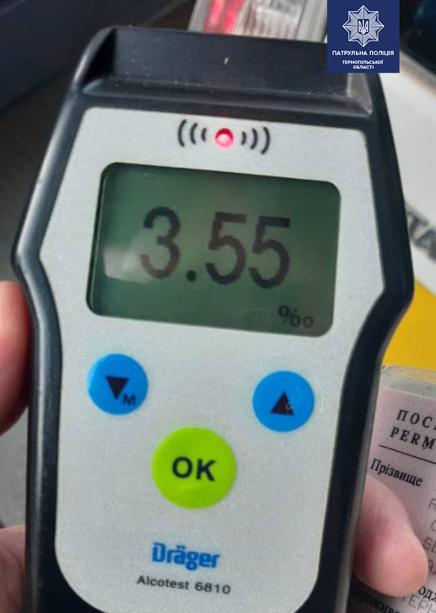 206729431 1444350612600637 7929087169762022013 n