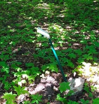 208783421 557995552032511 6214018348934771548 n