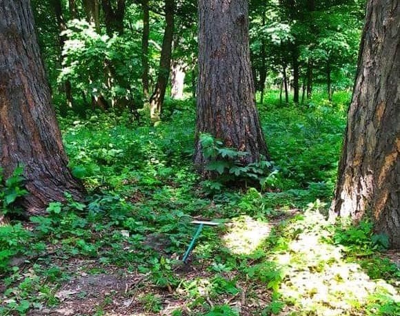 209386056 557995472032519 5412741215404582316 n