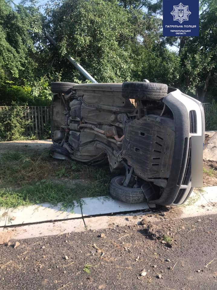 210902118 1447461545622877 1570826196628169791 n