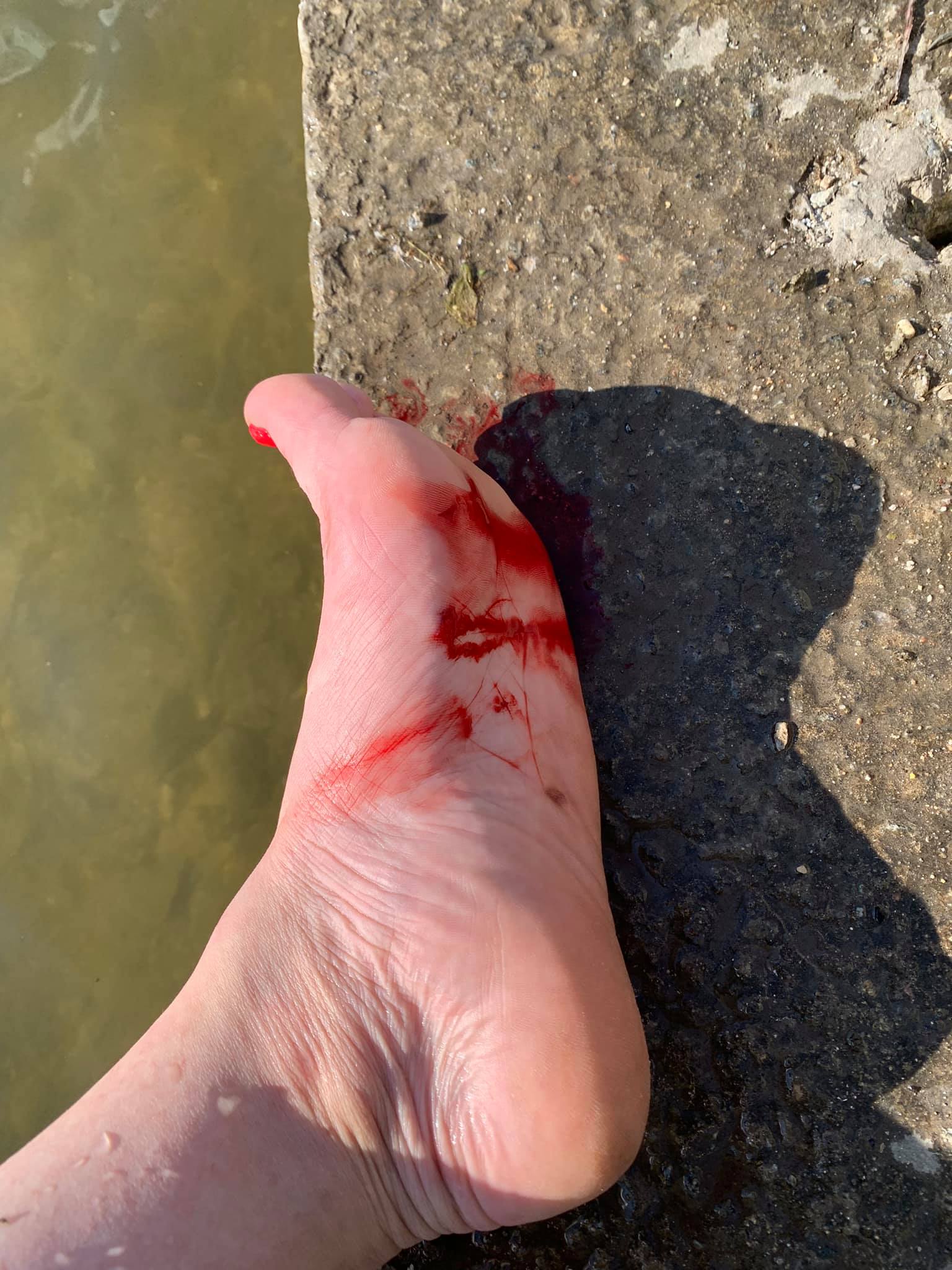 213827481 294818282425099 280644260904457436 n