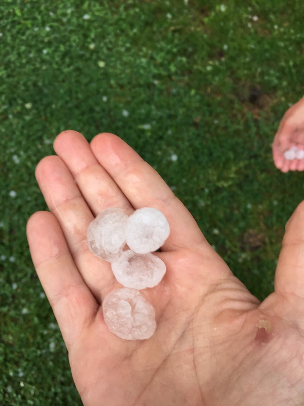 223265503 2252188631585170 639585502979940198 n