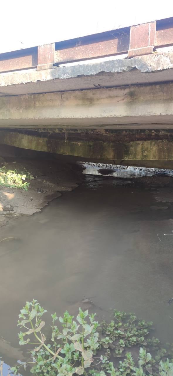 225603699 3050077621925267 1959546890331474395 n