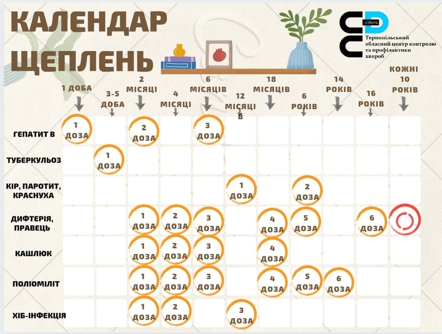 231392120 1421493448213918 78261341191793031 n