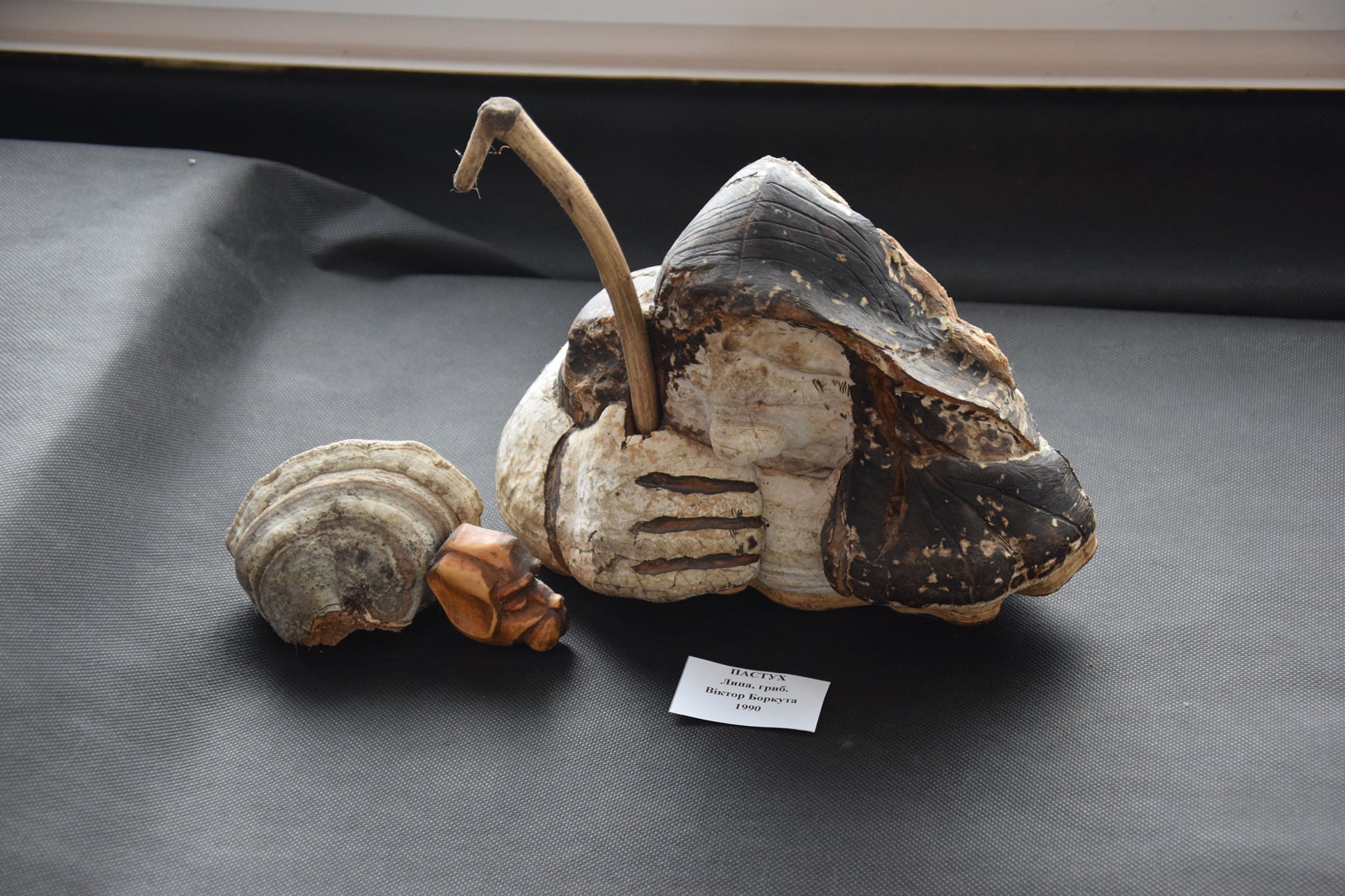 240669024 2951358721791165 8155503624791615682 n