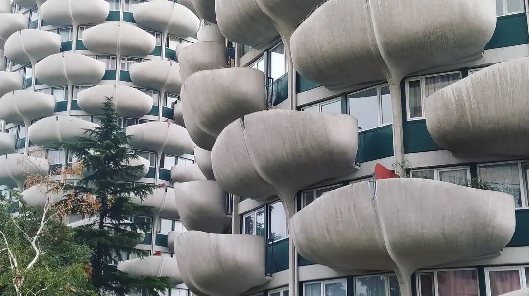 241884178 4252679334843425 5926691577412992267 n