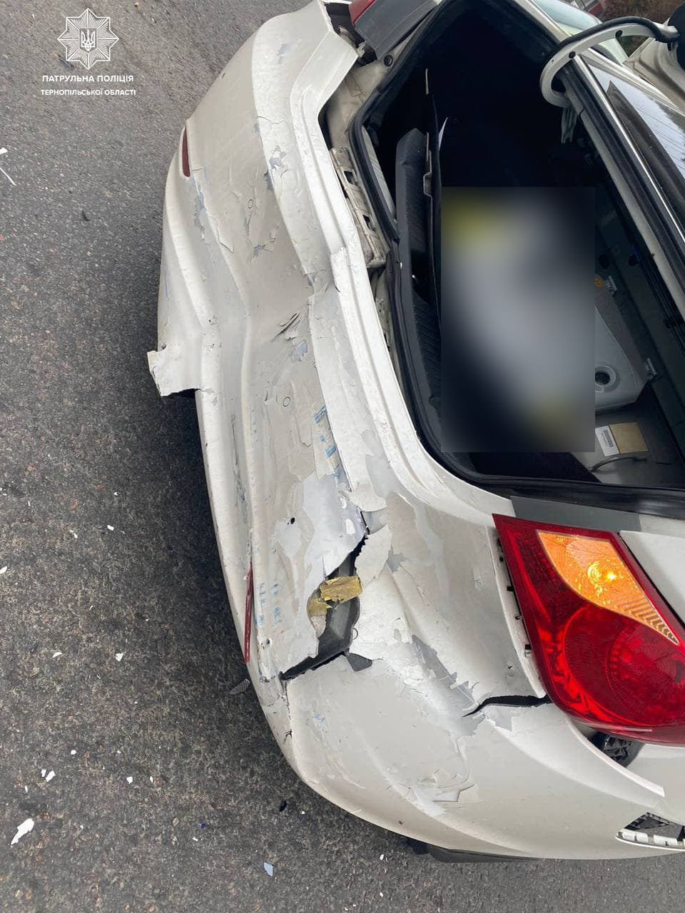 242084350 1502425666793131 6550797515334094908 n