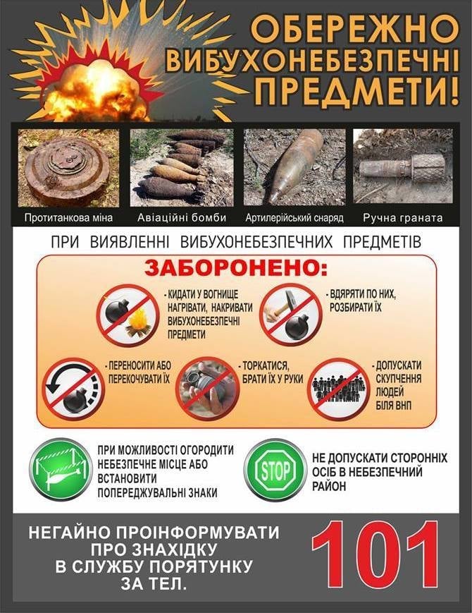 242624090 2058469074292602 6462496945805385988 n