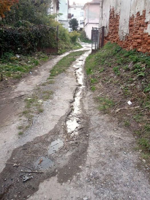 244306963 4700493856628576 6107378985590579095 n