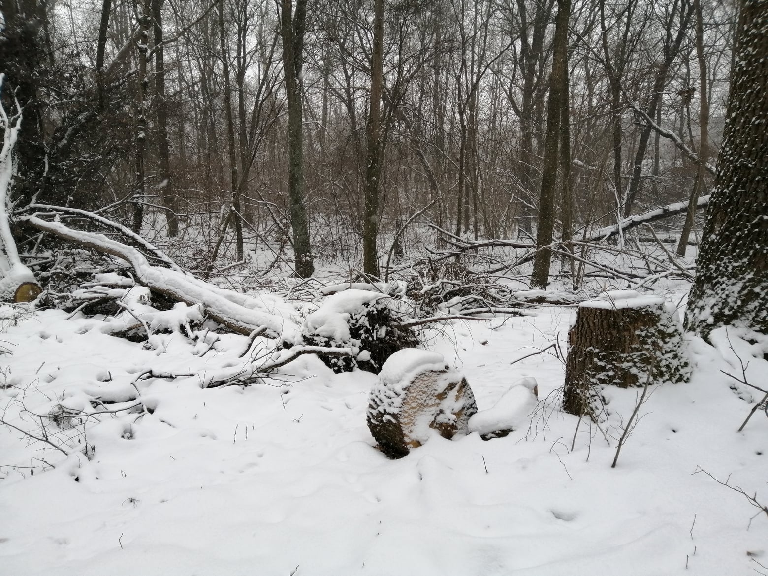 269926961 4594012460714827 1587620714342197959 n