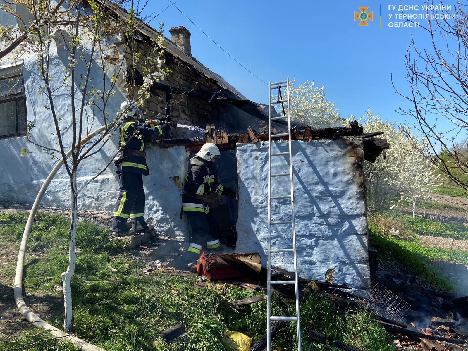 279262989 299623019027827 7963366414952338246 n