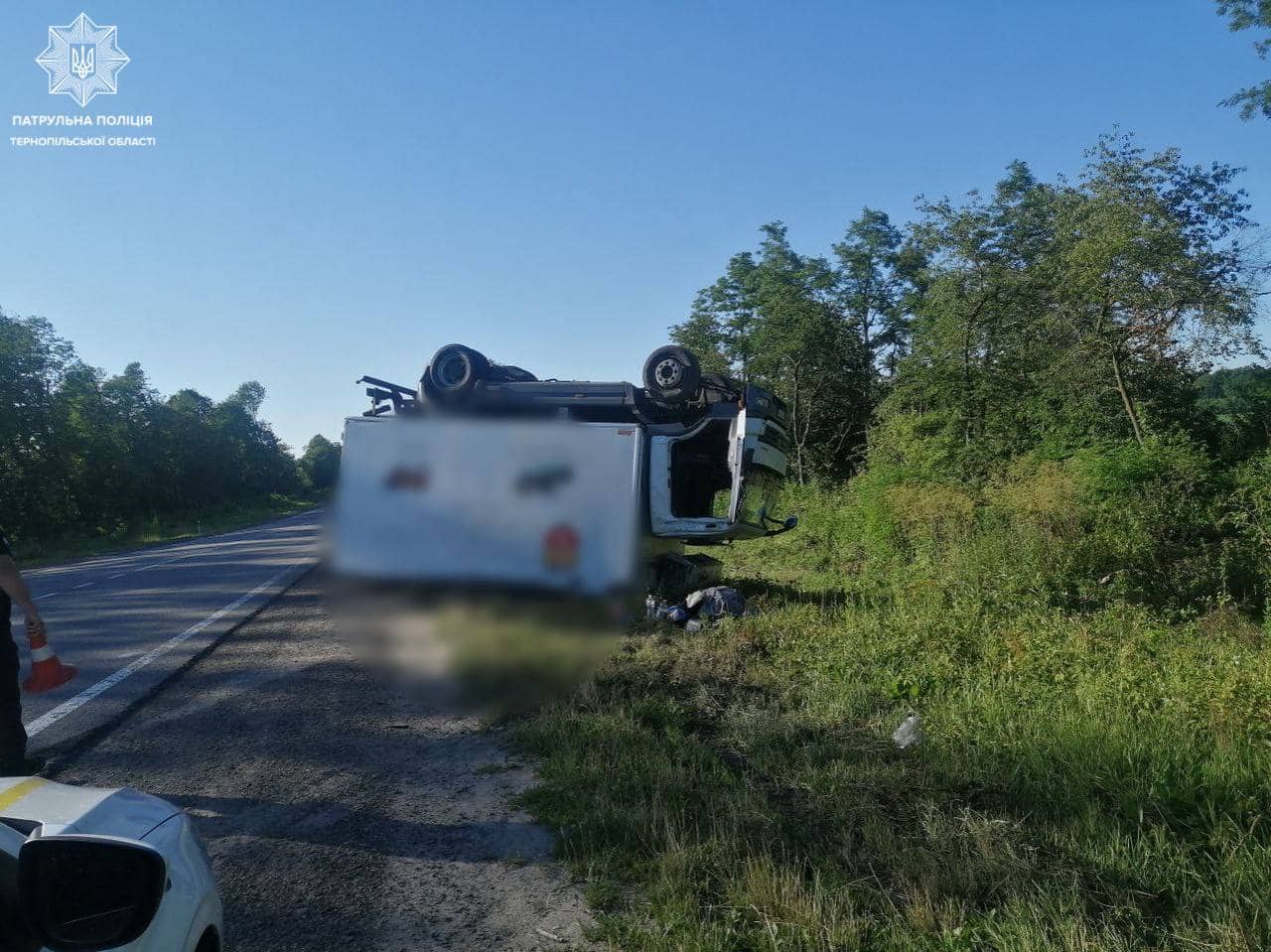 294111367 767465674603414 271279733768973997 n