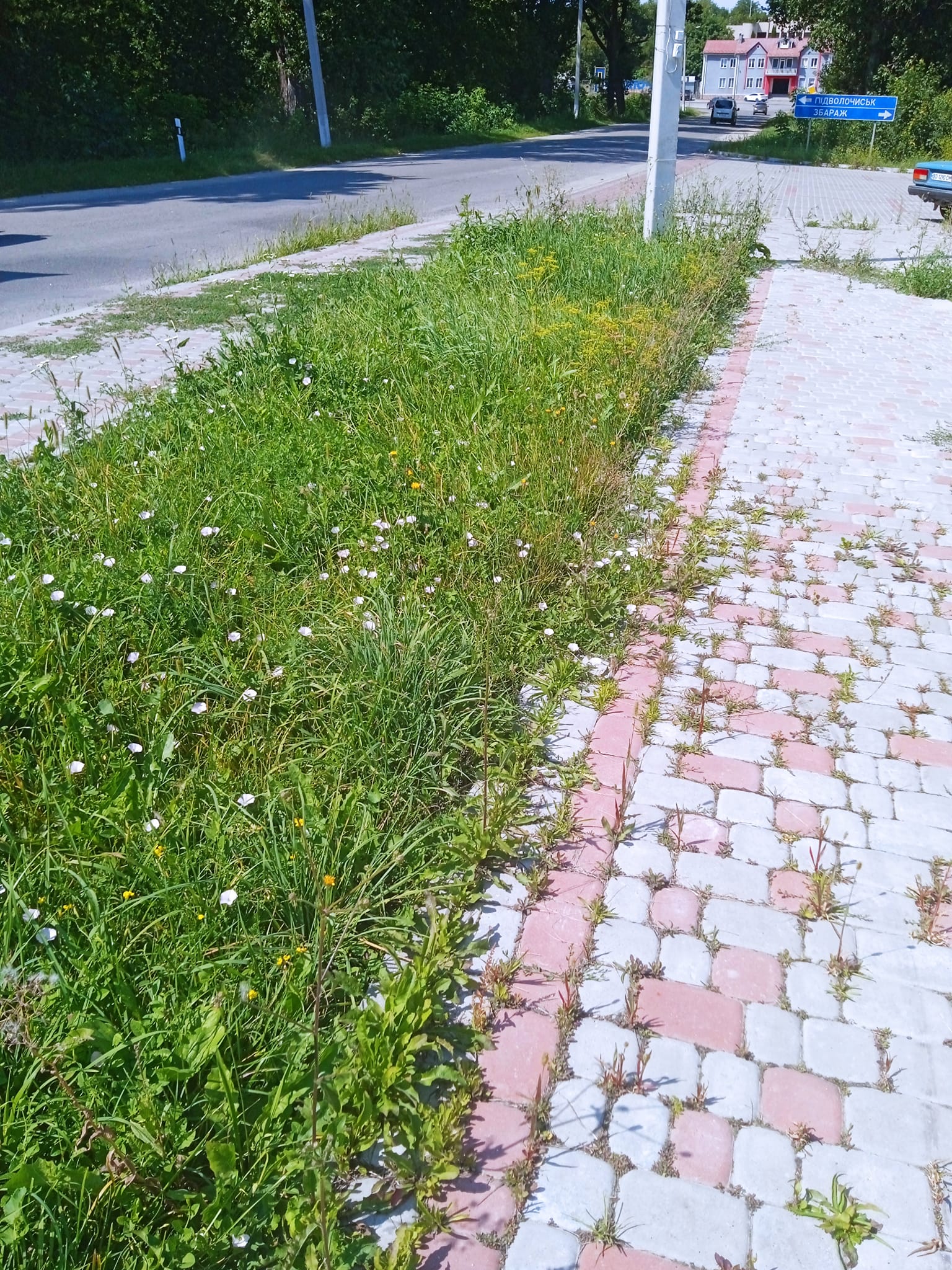 365734374_1026473328510214_2645534438004084768_n.jpg
