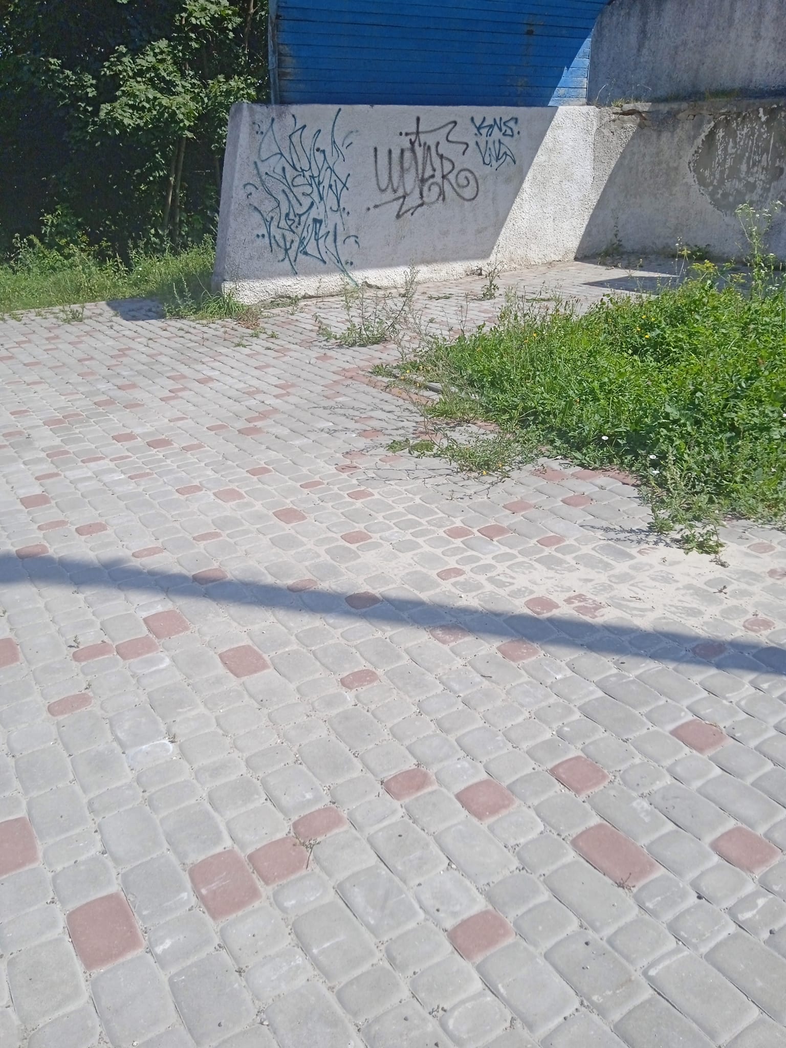 366380809_1026473601843520_1231683083278697514_n.jpg
