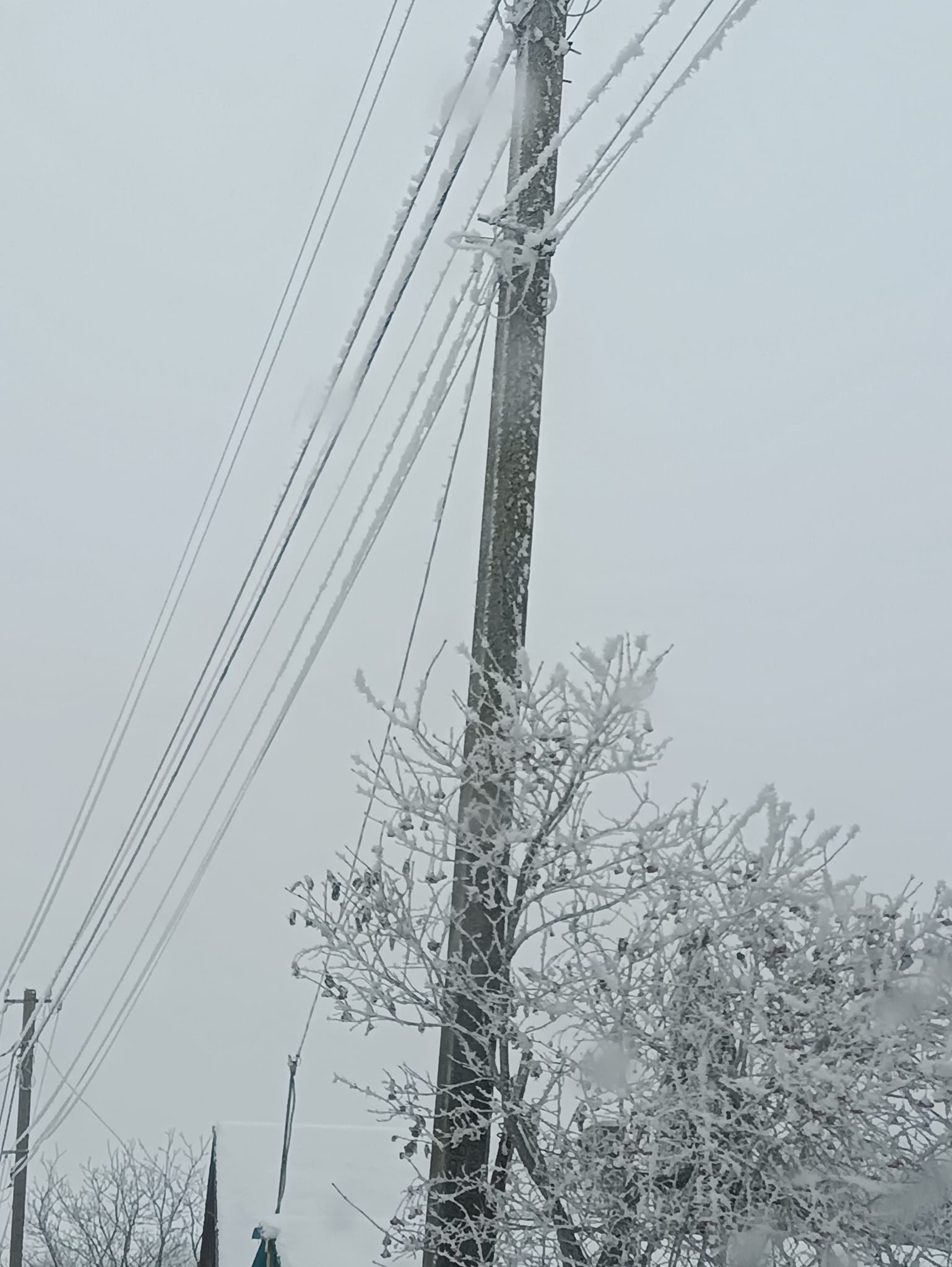 409567999_331207696334899_6998826318094462473_n.jpg