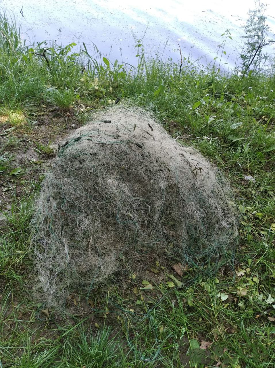 420191566_761326266176613_4412956560072912195_n_1.jpg