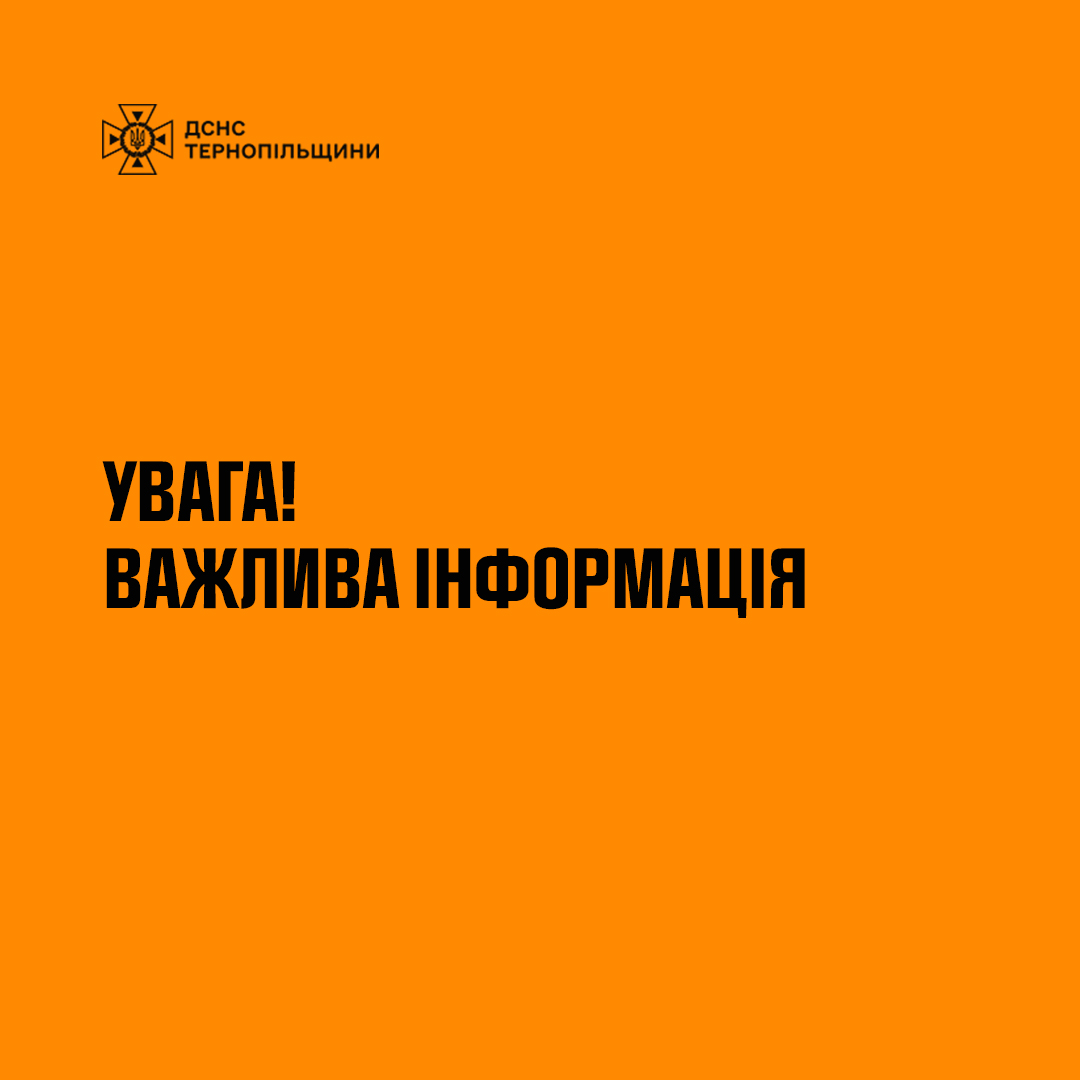 459712382_849547194030758_8990552699075280401_n.jpg