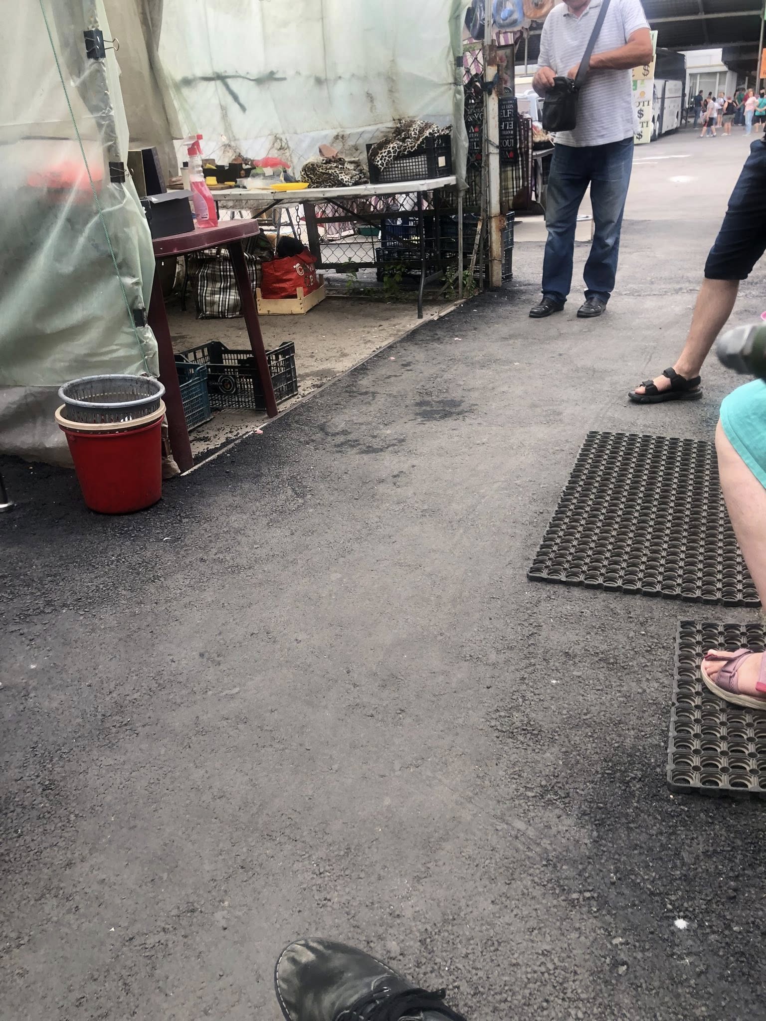 530231694_10228046366974361_1678268096379042262_n.jpg