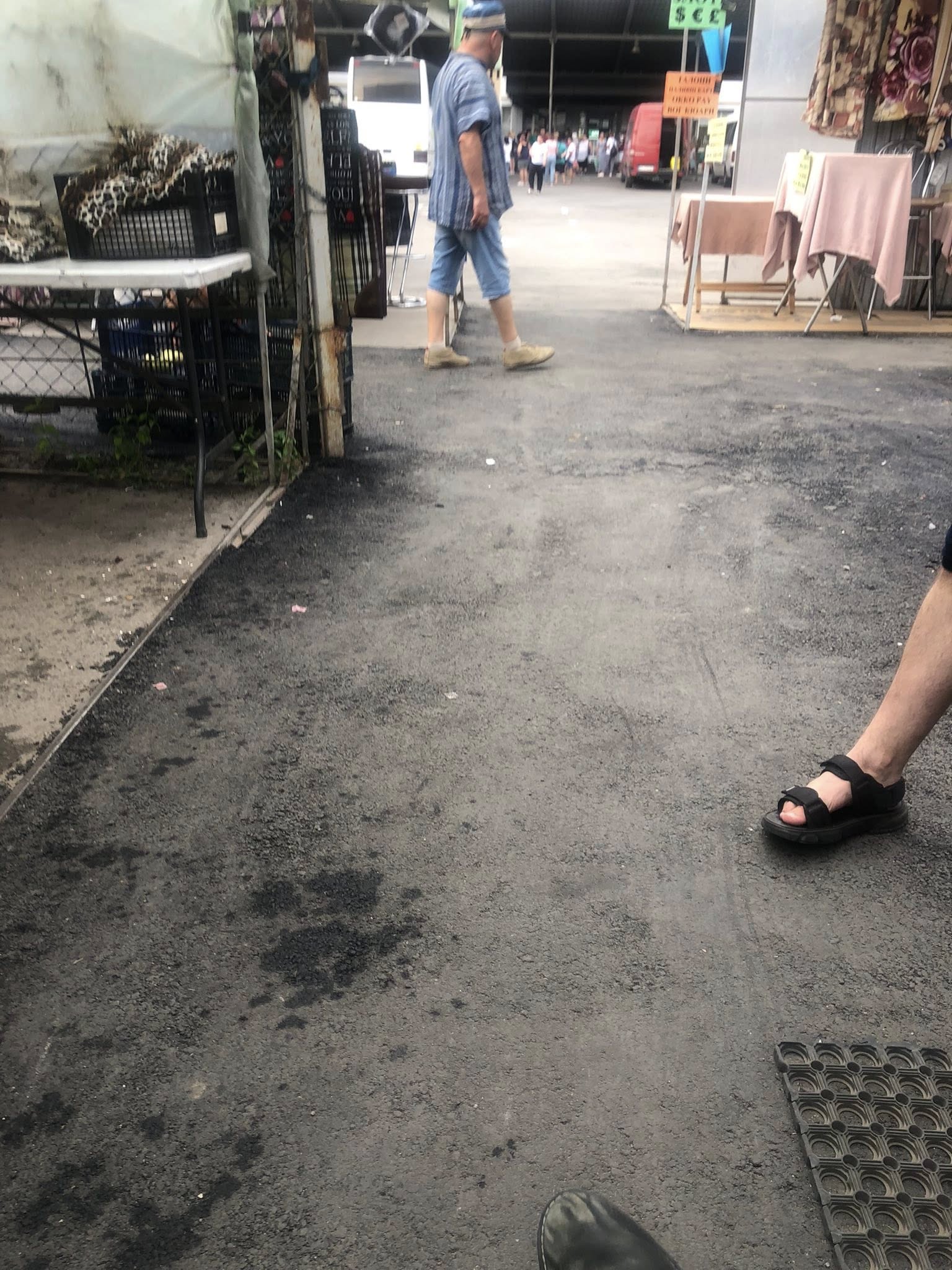 530398768_10228046367094364_650880122487220062_n.jpg