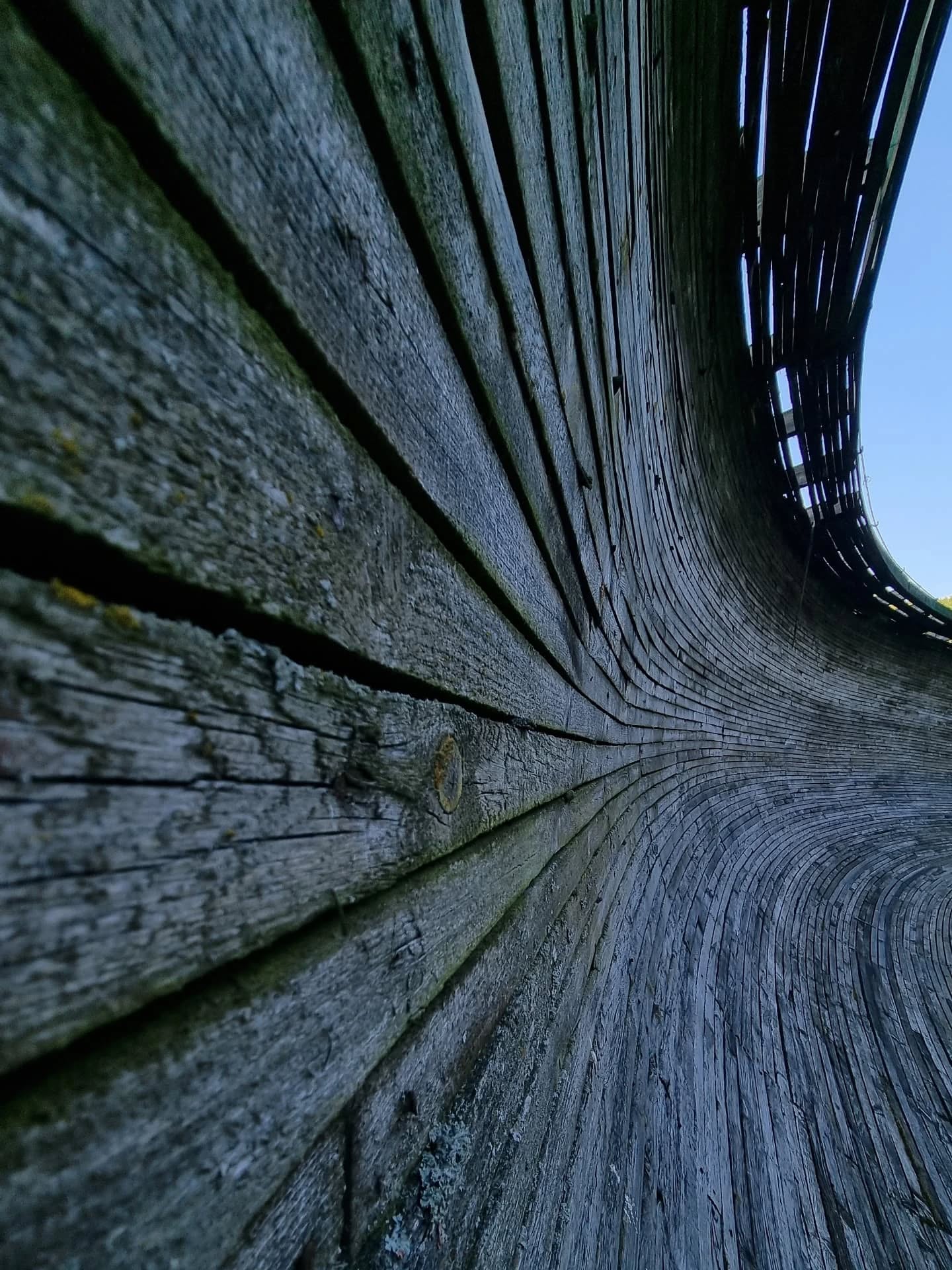 542859974_18389819467193994_6201505482798624419_n.jpg