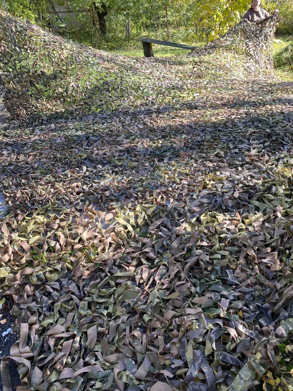 566352387_2557625917946607_9199965094088695309_n.jpg