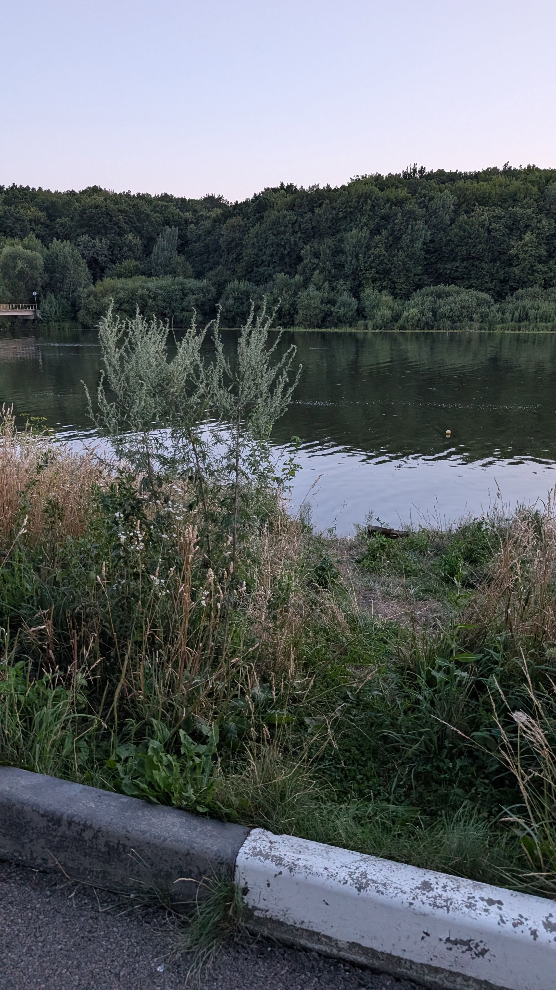 762864042_17926145661386128_1799177904873840443_n.jpg