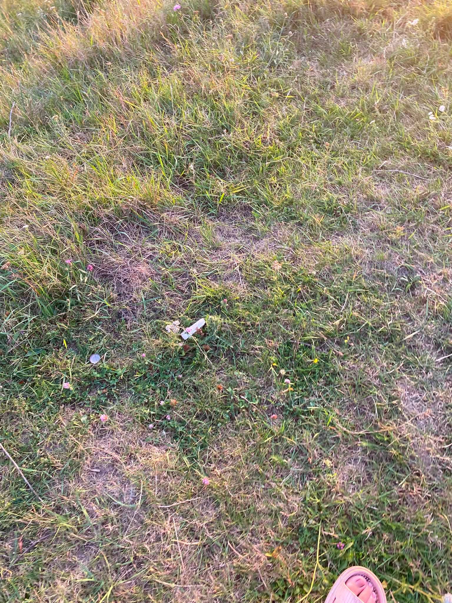763089251_2224188501675329_8892755968234810137_n.jpg