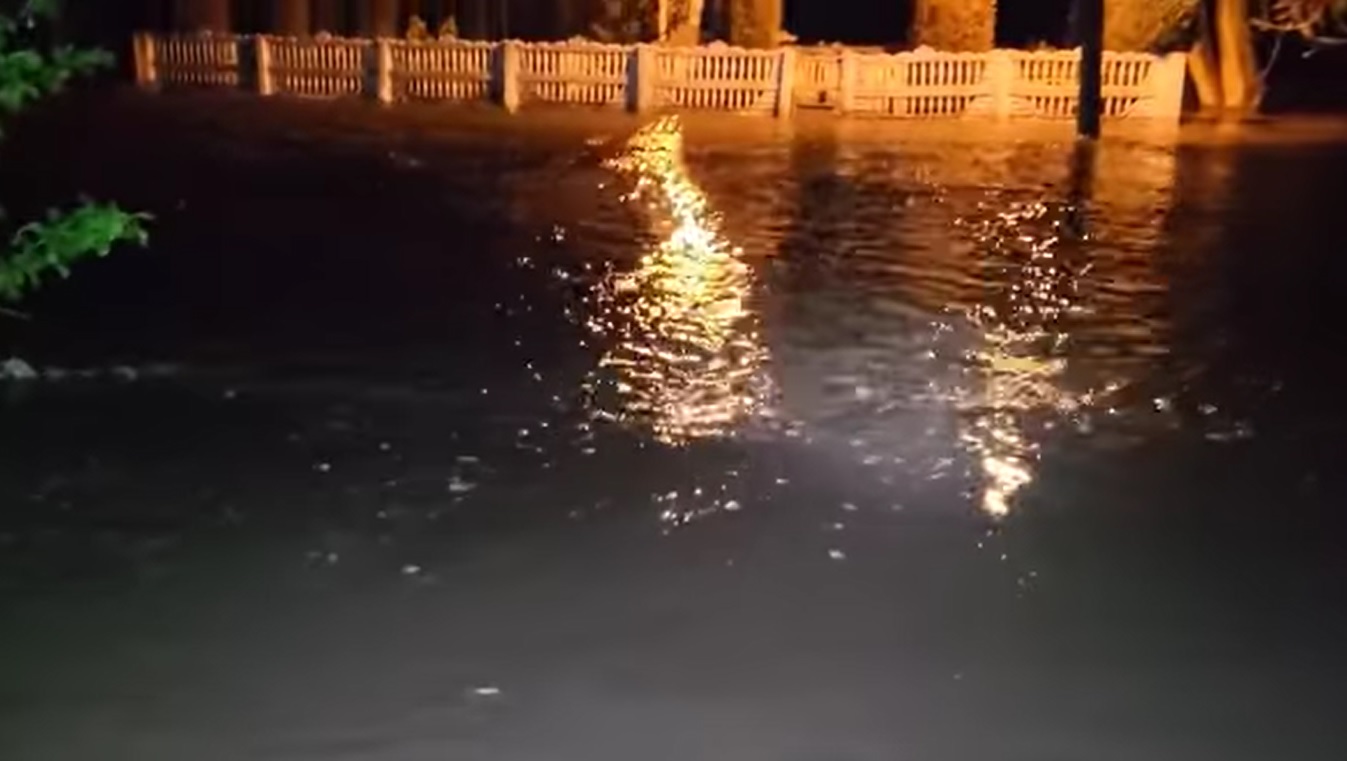 835353535353.jpg