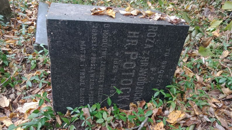 9ce8460dfca818b9.jpg