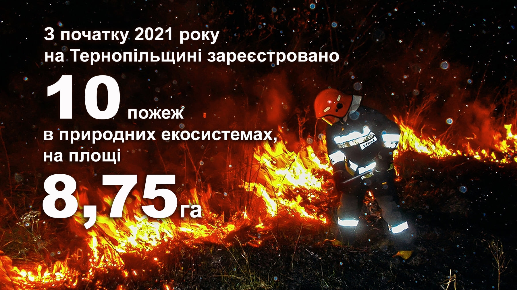 DSNS-statystyka.jpg