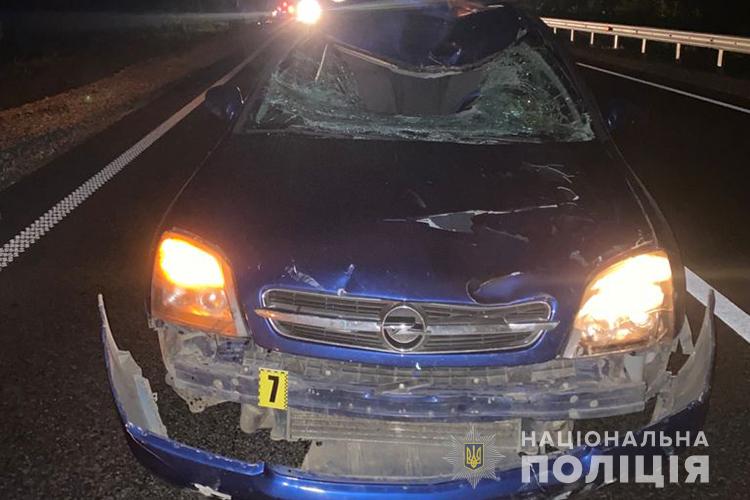 b8a31b3c 257d 4a4f a0d1 65cee7451f6a