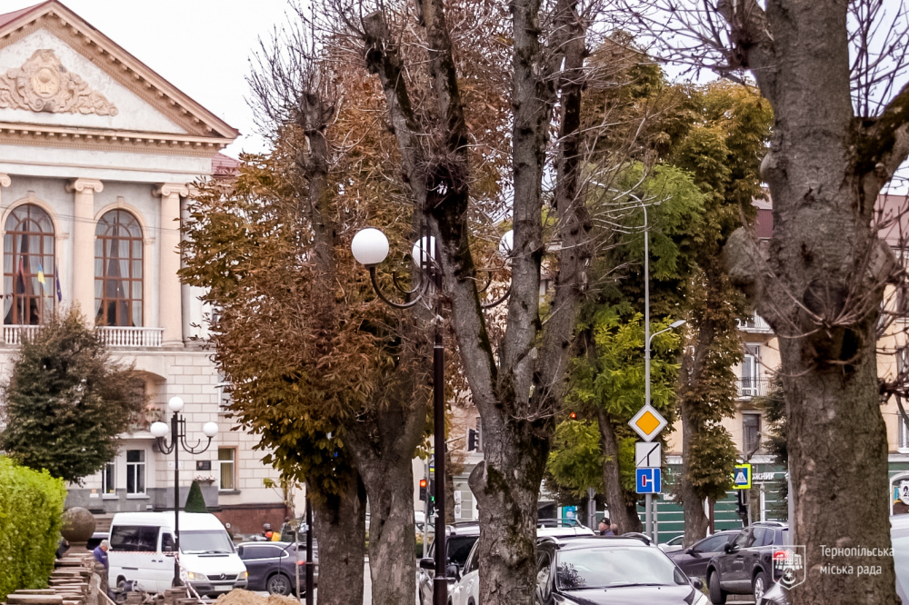 grushevskogo-dereva-06-10-25-5_1.jpg