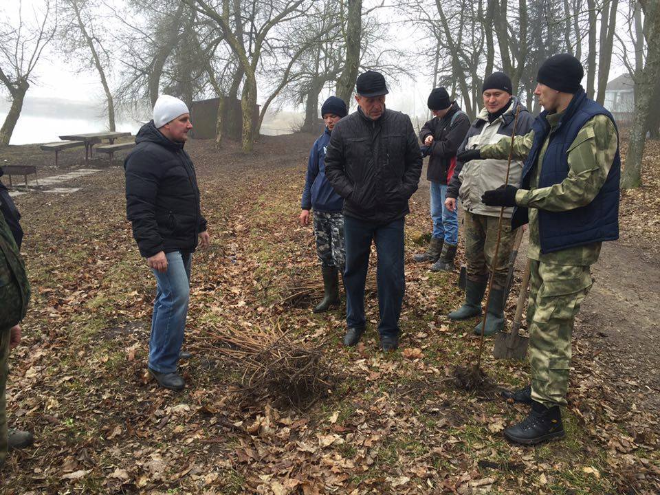 12799095 933799660049194 1426275291171280409 n