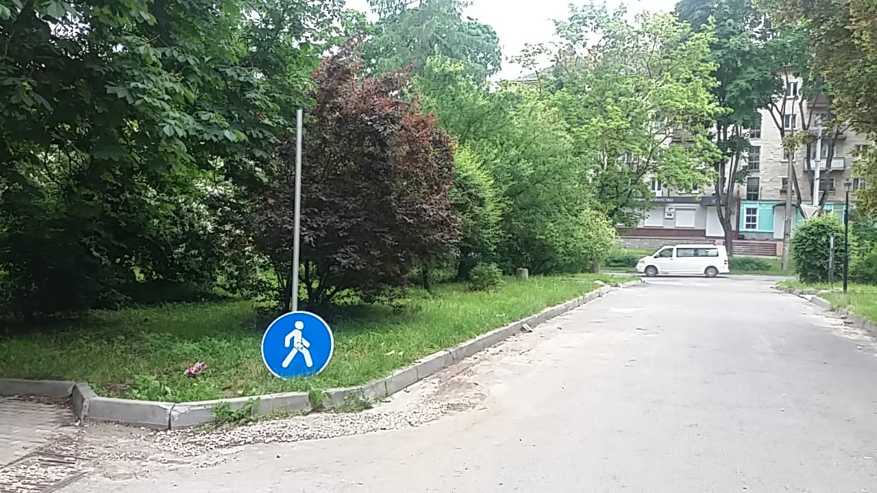 62263942_310391156568993_7015935679104286720_n.jpg