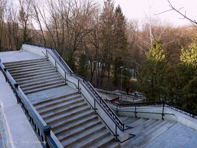 9080.jpg