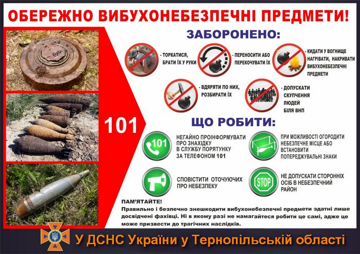 VNP 1024x724