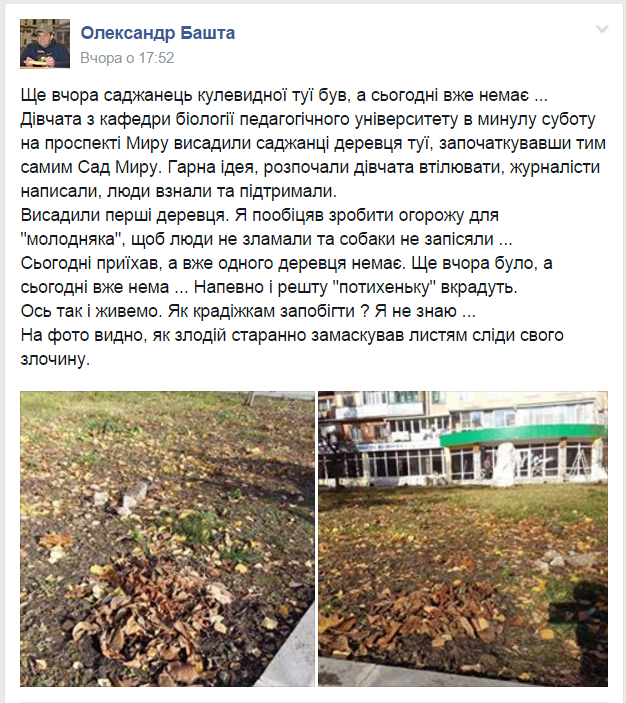bashta 14 11 15