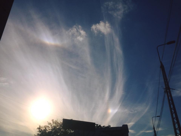 lfd_2122209598.jpg