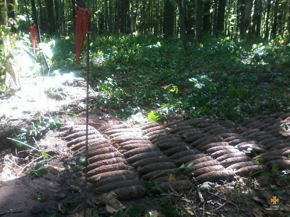 photo 2018 09 19 16 59 49 2