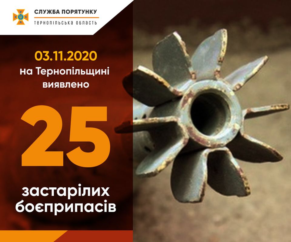 123751041 1799337400205772 5030337976239371398 o